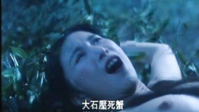 Tyle Wynn ร้องคร่ำครวญถึงสไตล์คนชอบสุนัขและมิชชันนารี วีดีโอ หนัง xxx